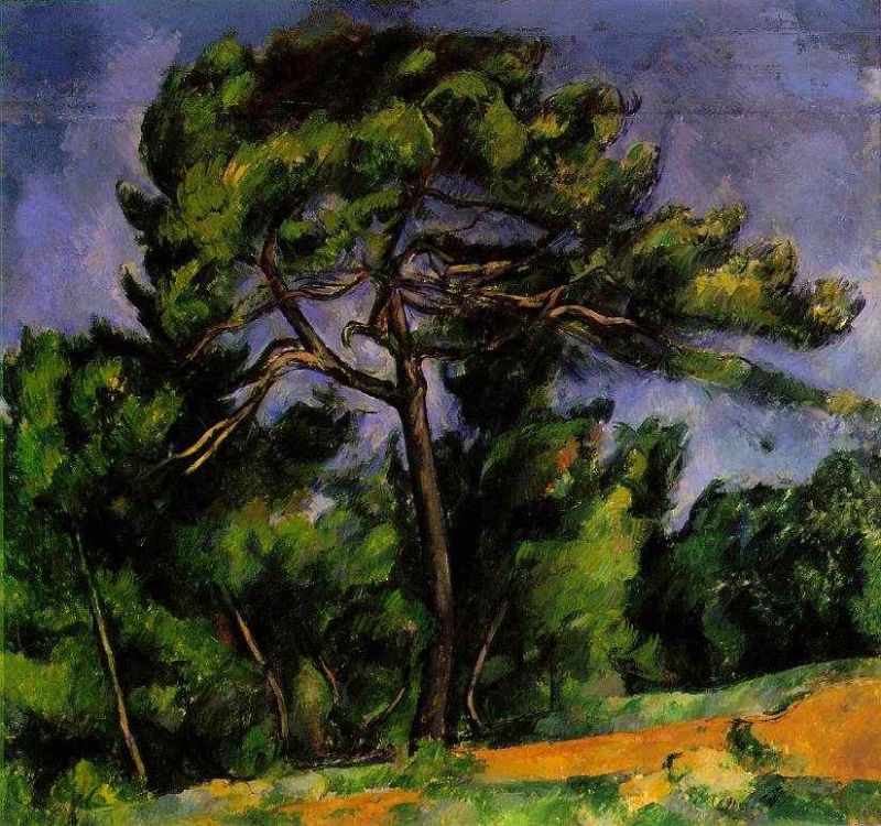 the great pine.jpg